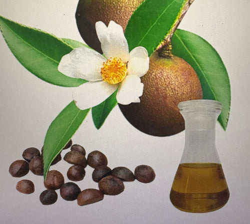 Carrot Seed & Camila Seed Oil CBD Body Butter