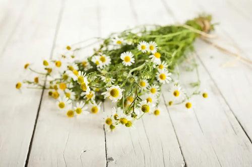 Chamomile Lotion